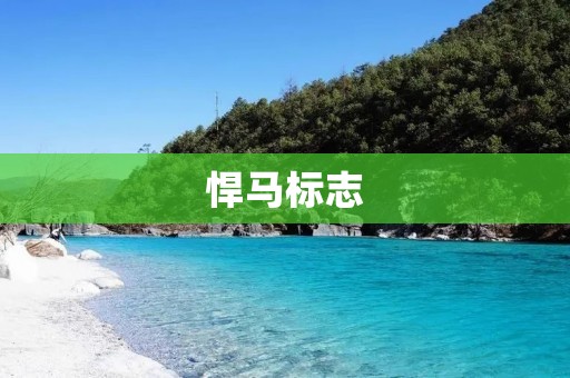 悍马标志：美国精神的象征