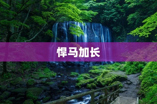 悍马加长：豪华座驾的极致享受