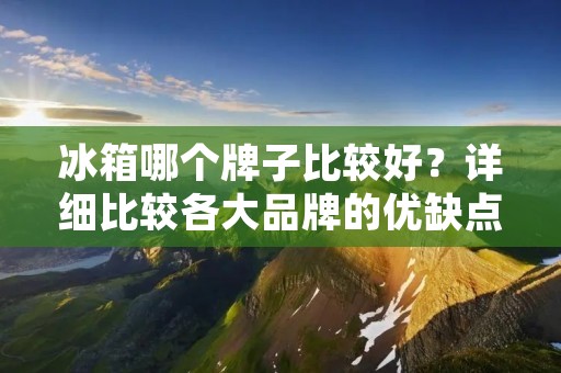 冰箱哪个牌子比较好?详细比较各大品牌的优缺点 冰箱哪个牌子比较好?详细比较各大品牌的优缺点