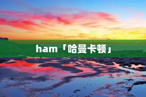 ham「哈曼卡顿」