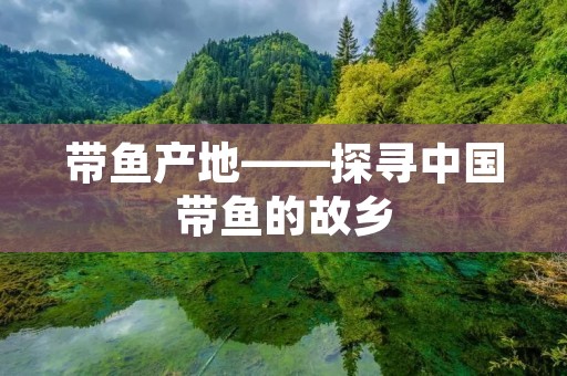带鱼产地——探寻中国带鱼的故乡
