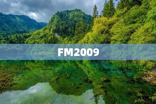 FM2009：一款足球迷的必备游戏