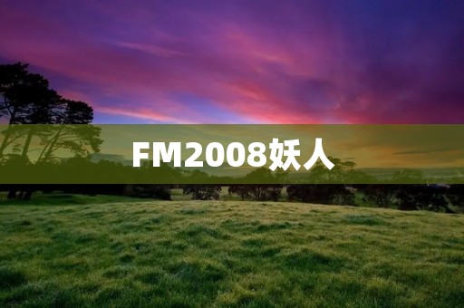 FM2008妖人：那些让你无法忘怀的球员