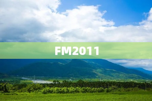 FM2011:管理你的足球王朝 FM2011:管理你的足球王朝