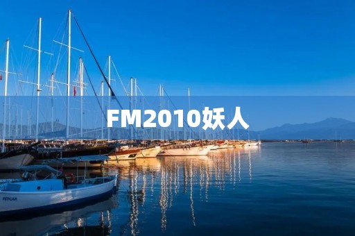 FM2010妖人：打造最强球队的秘密武器