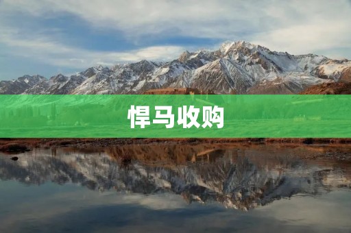 悍马收购：一次全球汽车行业的重大转型