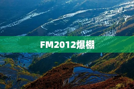 FM2012爆棚:足球迷们的最爱 FM2012爆棚:足球迷们的最爱