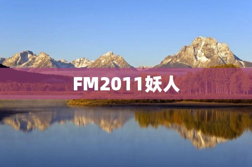 FM2011妖人：一款足球管理游戏中的传奇人物