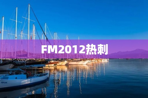 FM2012热刺：带你领略足球管理游戏的魅力