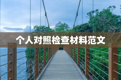 个人对照检查材料范文
