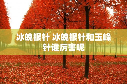 冰魄银针 冰魄银针和玉峰针谁厉害呢
