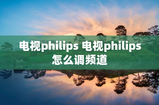 电视philips 电视philips怎么调频道