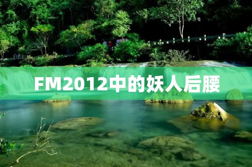FM2012中的妖人后腰:让你的中场成为比赛制胜关键 FM2012中的妖人后腰:让你的中场成为比赛制胜关键
