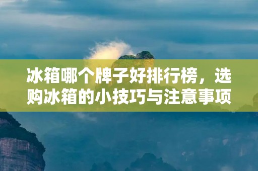 冰箱哪个牌子好排行榜，选购冰箱的小技巧与注意事项