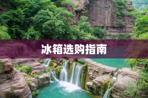 冰箱选购指南：哪个牌子最专业？