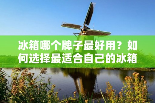 冰箱哪个牌子最好用?如何选择最适合自己的冰箱? 冰箱哪个牌子最好用?如何选择最适合自己的冰箱?