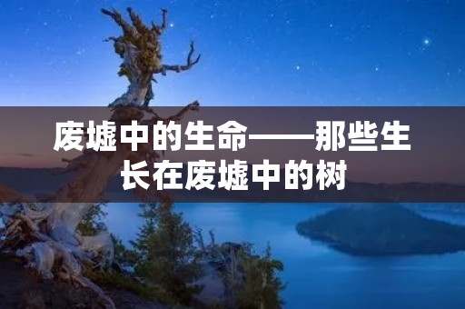 废墟中的生命——那些生长在废墟中的树 废墟中的生命——那些生长在废墟中的树