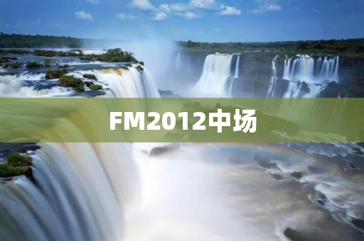 FM2012中场：如何打造一支中场强大的球队