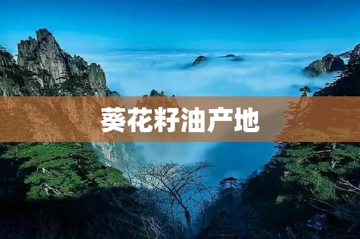 葵花籽油产地:全球各地的种植和生产