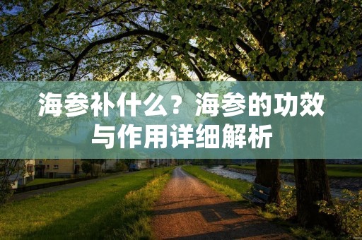 海参补什么?海参的功效与作用详细解析 海参补什么?海参的功效与作用详细解析
