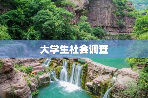 大学生社会调查：探究大学生的消费观念和消费行为