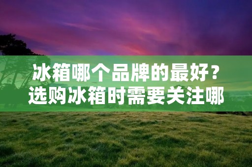 冰箱哪个品牌的最好?选购冰箱时需要关注哪些因素? 冰箱哪个品牌的最好?选购冰箱时需要关注哪些因素?