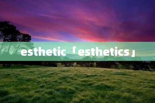 esthetic「esthetics」