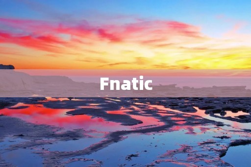 Fnatic：电竞领域的传奇