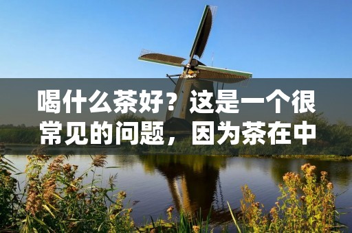 喝什么茶好?这是一个很常见的问题,因为茶在中国文化中有着非常重要的地位,同时也因为茶的种类非常繁多,每种茶都有着不同的功效和适用人群。接下来,我将为大家介绍几种常见的茶,以及它们的功效和适用人群,希望可以帮助大家更好地选择适合自己的茶。 喝什么茶好?这是一个很常见的问题,因为茶在中国文化中有着非常重要的地位,同时也因为茶的种类非常繁多,每种茶都有着不同的功效和适用人群。接下来,我将为大家介绍几种常见的茶,以及它们的功效和适用人群,希望可以帮助大家更好地选择适合自己的茶。