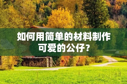 如何用简单的材料制作可爱的公仔? 如何用简单的材料制作可爱的公仔?