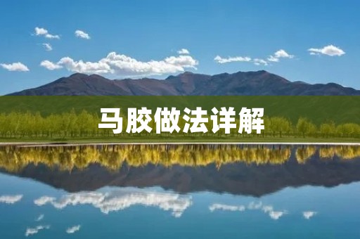 马胶做法详解:如何制作香甜可口的马胶 马胶做法详解:如何制作香甜可口的马胶