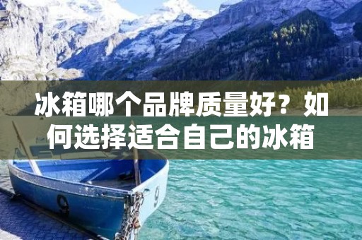 冰箱哪个品牌质量好？如何选择适合自己的冰箱？