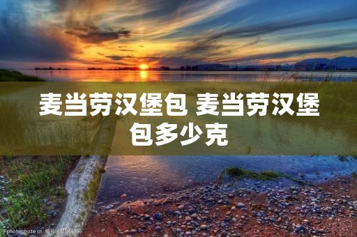 麦当劳汉堡包 麦当劳汉堡包多少克