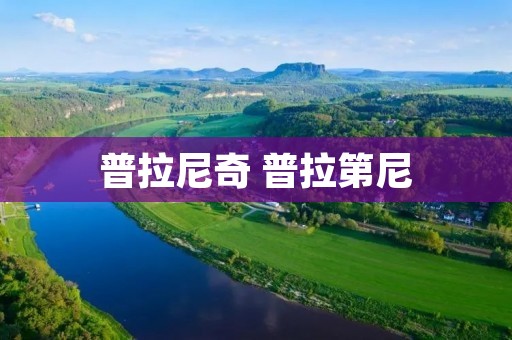 普拉尼奇 普拉第尼