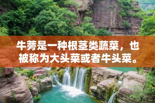 牛蒡是一种根茎类蔬菜,也被称为大头菜或者牛头菜。它的主要产地有中国、日本、韩国和欧洲等地,是一种非常受欢迎的食材。牛蒡富含各种营养成分,包括纤维素、钾、锌、钙、维生素B6和维生素C等,可以给人体带来许多好处。 牛蒡是一种根茎类蔬菜,也被称为大头菜或者牛头菜。它的主要产地有中国、日本、韩国和欧洲等地,是一种非常受欢迎的食材。牛蒡富含各种营养成分,包括纤维素、钾、锌、钙、维生素B6和维生素C等,可以给人体带来许多好处。
