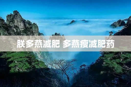 朕多燕减肥 多燕瘦减肥药 朕多燕减肥 多燕瘦减肥药
