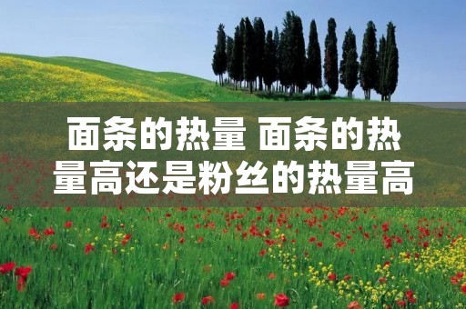 面条的热量 面条的热量高还是粉丝的热量高