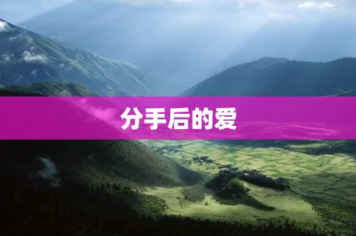 分手后的爱:如何在痛苦中重新爱上自己