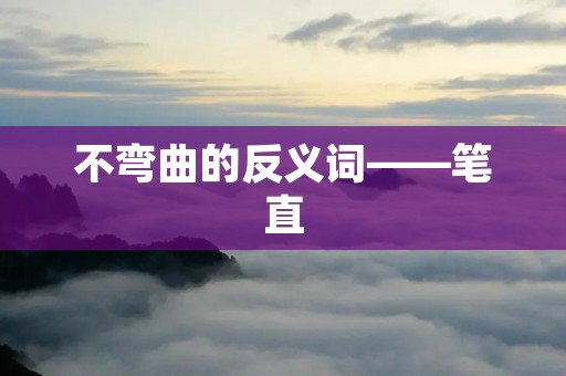不弯曲的反义词——笔直
