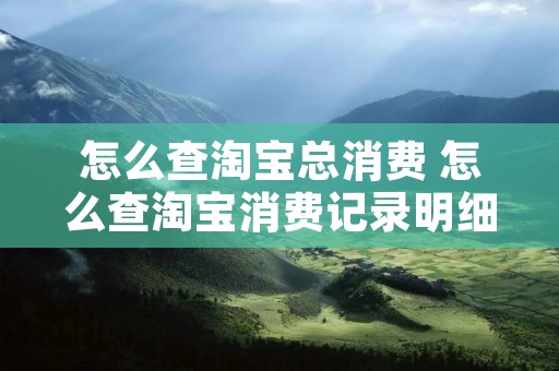 怎么查淘宝总消费 怎么查淘宝消费记录明细 怎么查淘宝总消费 怎么查淘宝消费记录明细