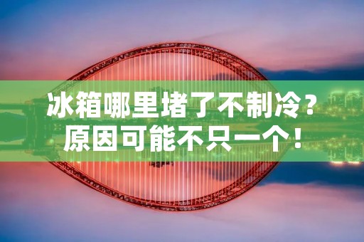 冰箱哪里堵了不制冷?原因可能不只一个! 冰箱哪里堵了不制冷?原因可能不只一个!