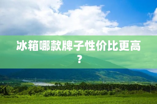 冰箱哪款牌子性价比更高？