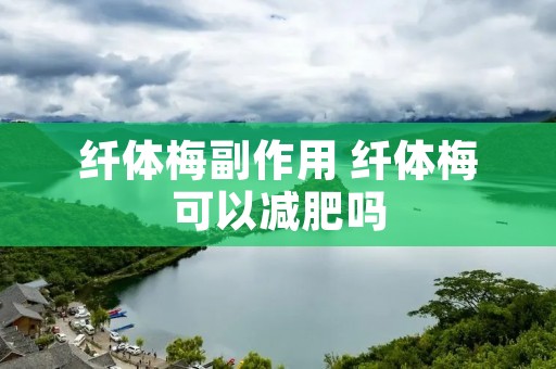 纤体梅副作用 纤体梅可以减肥吗