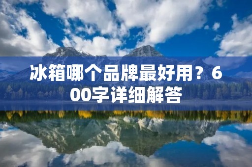 冰箱哪个品牌最好用?600字详细解答