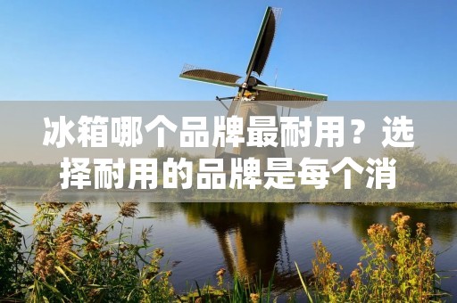 冰箱哪个品牌最耐用？选择耐用的品牌是每个消费者的共同目标。在市面上，有许多品牌的冰箱，如海尔、美的、西门子、松下等，但是哪个品牌的冰箱更加耐用呢？在本篇文章中，我们将为您详细介绍冰箱品牌的耐用性，并推荐几个值得购买的品牌。