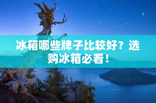 冰箱哪些牌子比较好？选购冰箱必看！