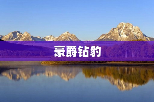 豪爵钻豹：让你彻底领略豪华与速度的完美结合