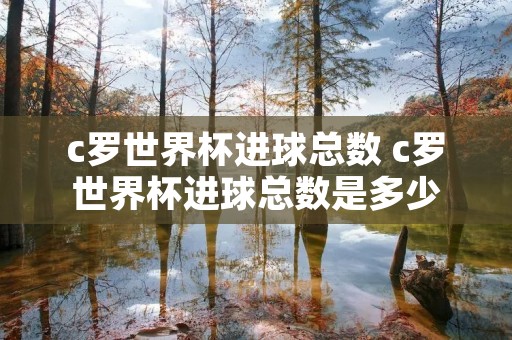c罗世界杯进球总数 c罗世界杯进球总数是多少 c罗世界杯进球总数 c罗世界杯进球总数是多少