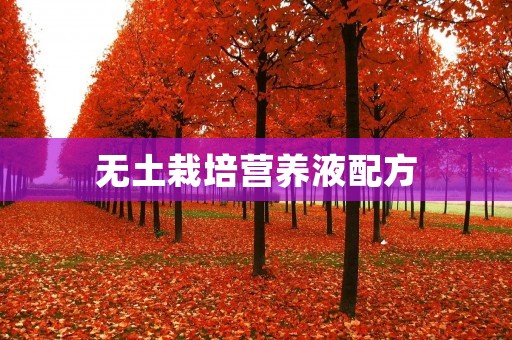 无土栽培营养液配方：打造绿色环保农业