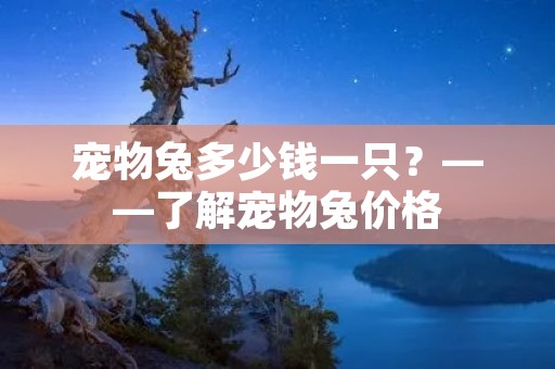 宠物兔多少钱一只？——了解宠物兔价格